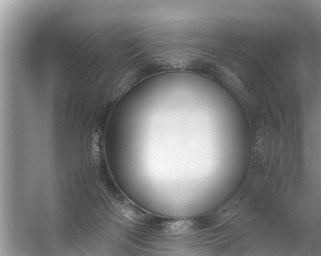 X0000058130122200510072015