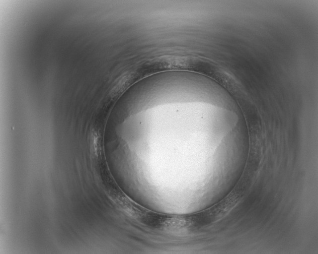 X0000058130123200510072015