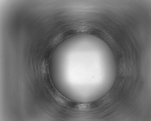 X0000058130126200510072015