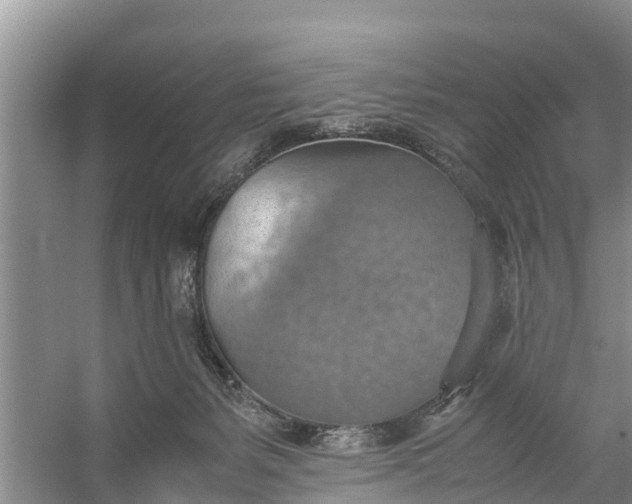 X0000058130127200510072015