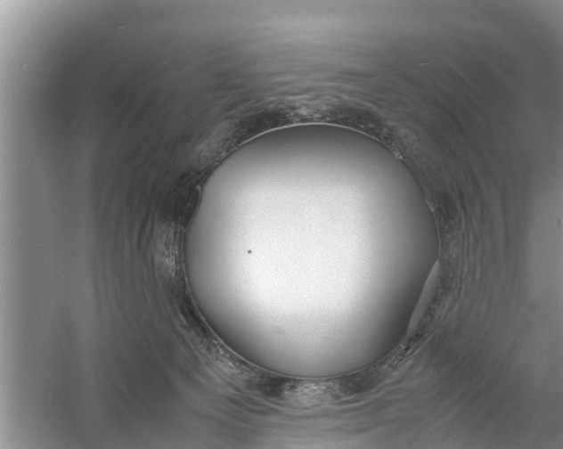 X0000058130129200510072015