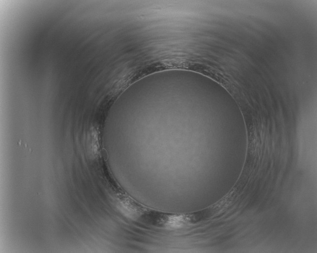 X0000058130130200510072015