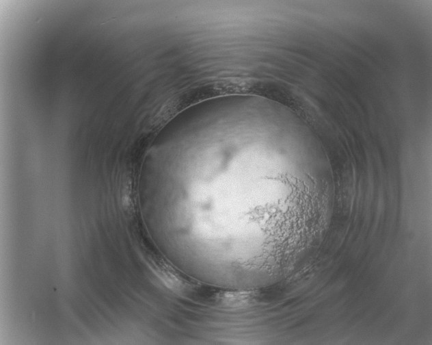 X0000058130134200510072015