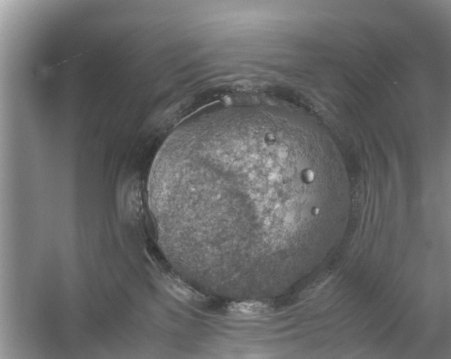 X0000058130137200510072015