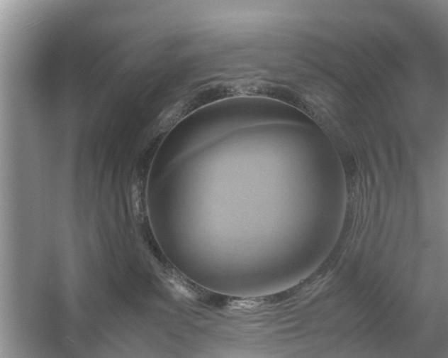 X0000058130139200510072015