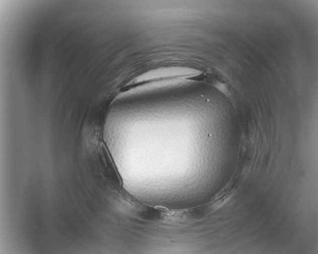 X0000058130141200510072015