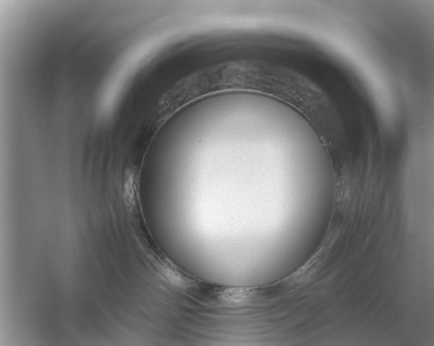 X0000058130142200510072015