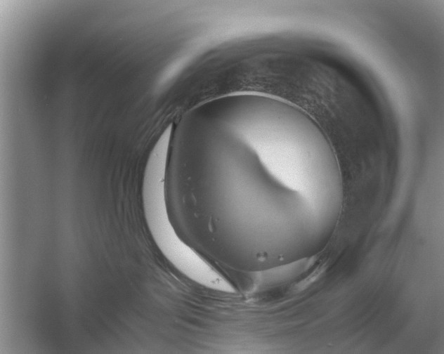 X0000058130143200510072015