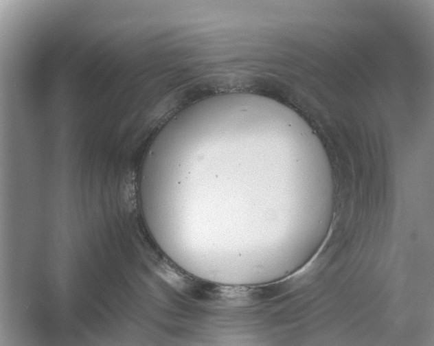 X0000058130144200510072015