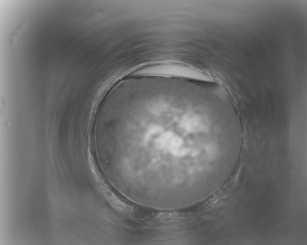 X0000058130145200510072014