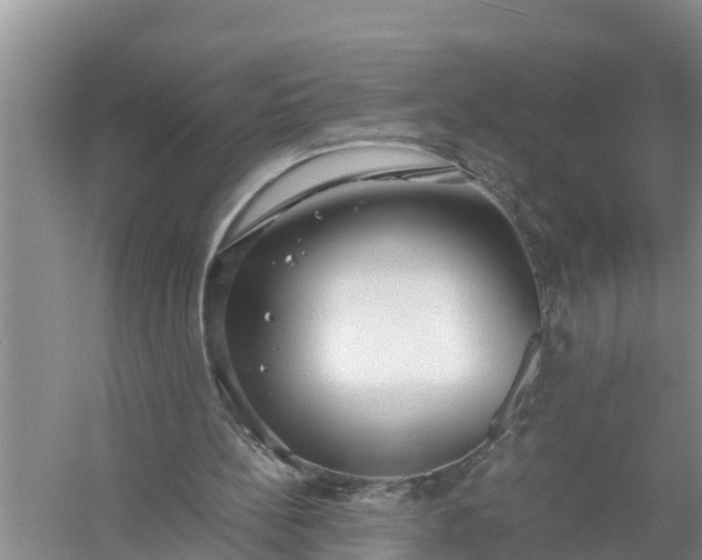 X0000058130148200510072014