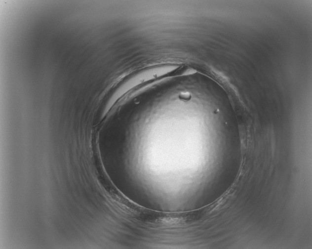 X0000058130154200510072014