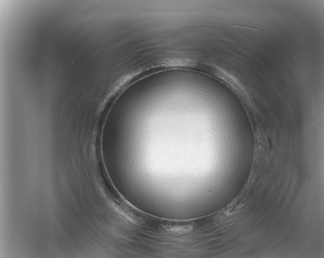 X0000058130155200510072014