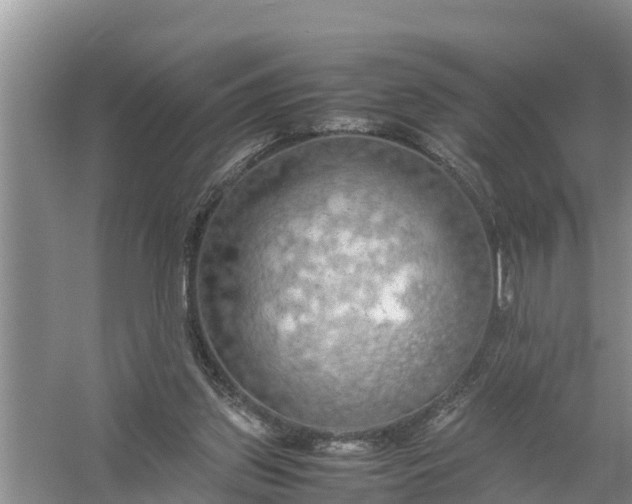 X0000058130157200510072014