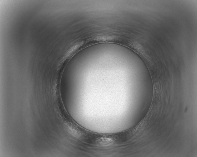 X0000058130159200510072014