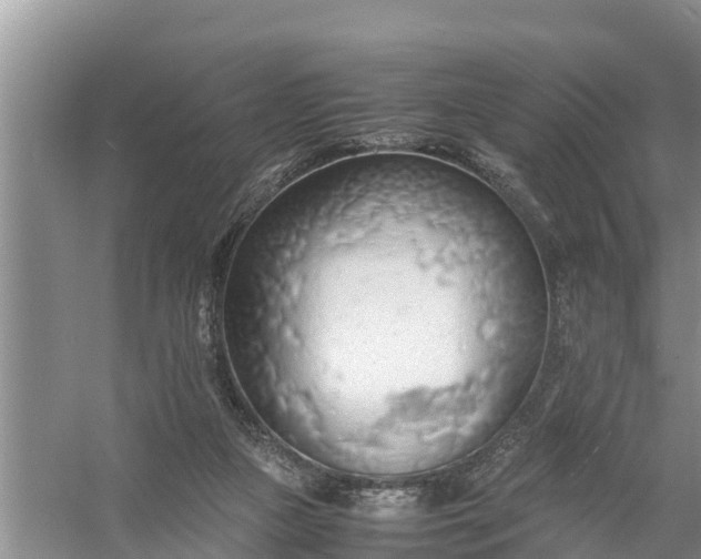 X0000058130161200510072014