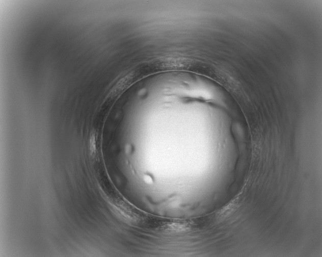 X0000058130166200510072014