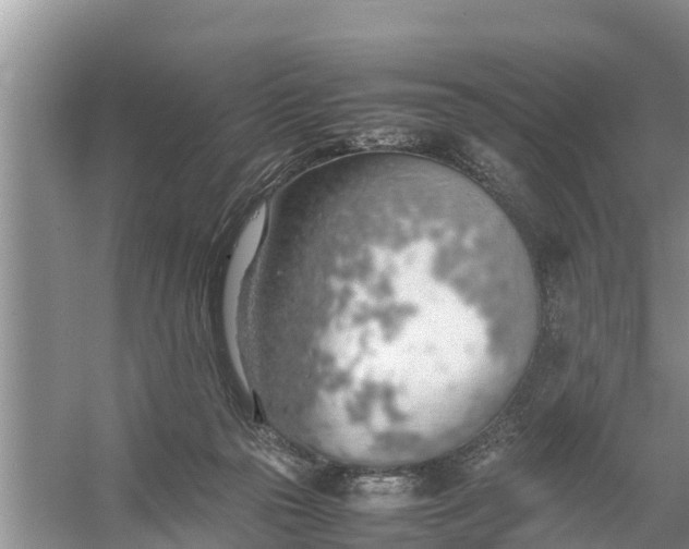 X0000058130169200510072014