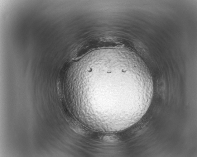 X0000058130173200510072014