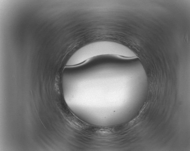 X0000058130175200510072015