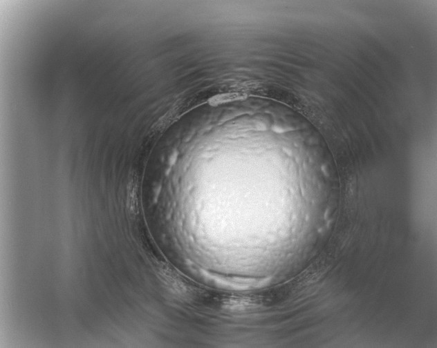 X0000058130177200510072015