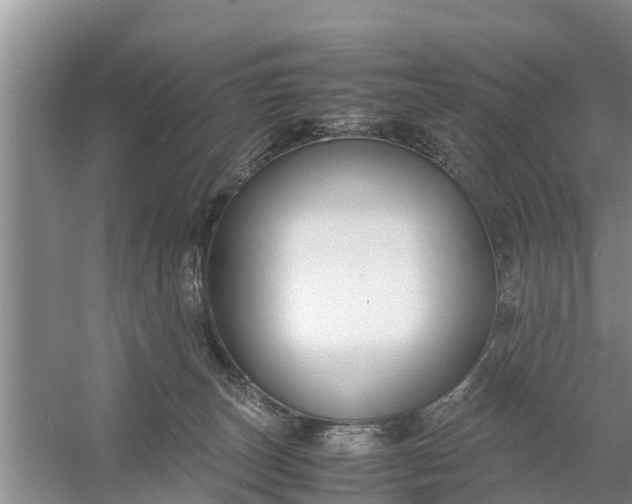 X0000058130179200510072015