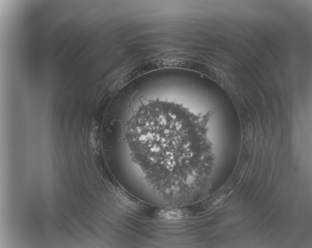 X0000058130181200510072015