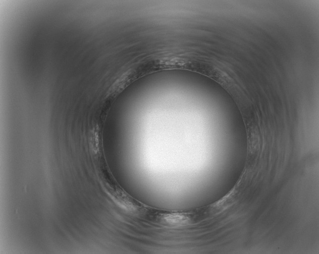 X0000058130183200510072015