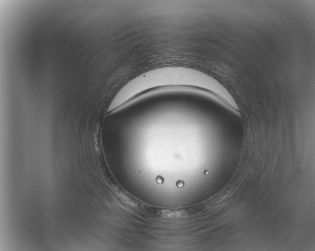 X0000058130185200510072015