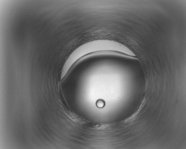 X0000058130186200510072015