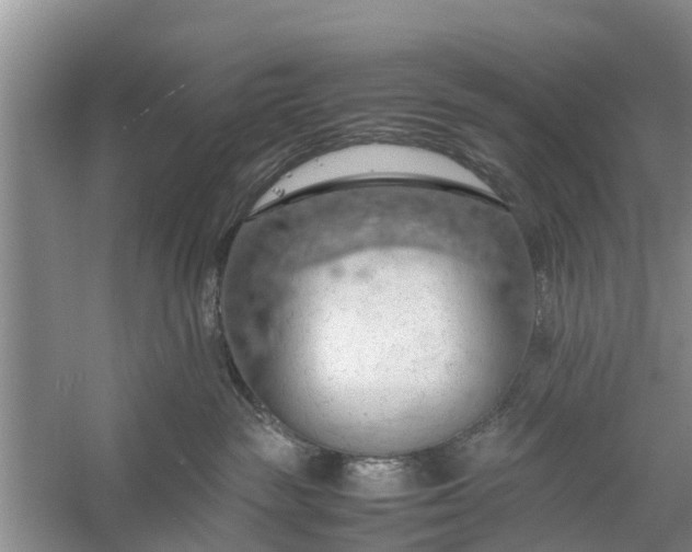 X0000058130189200510072015