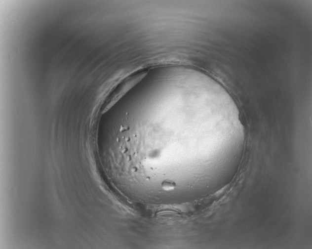 X0000058130193200510072014