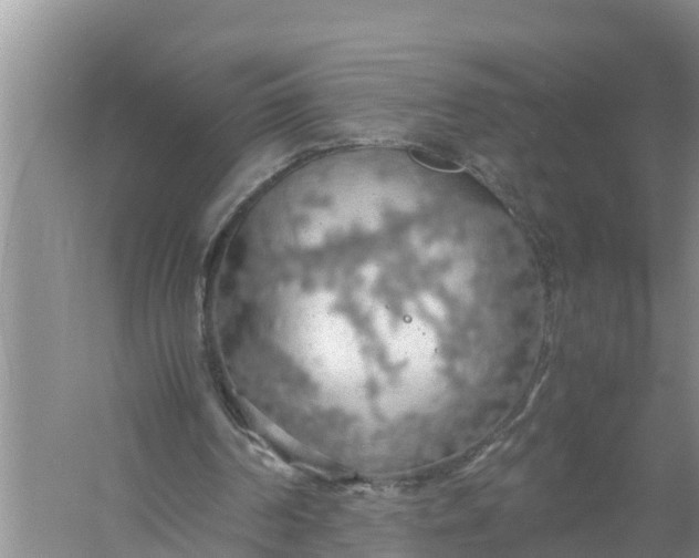 X0000058130194200510072014