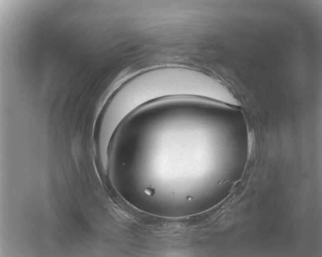 X0000058130195200510072014