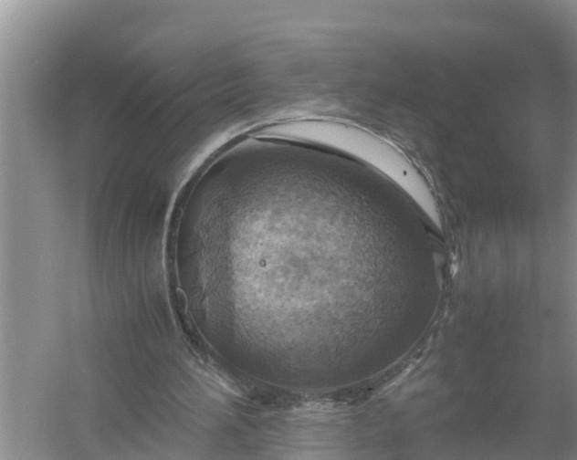 X0000058130196200510072014