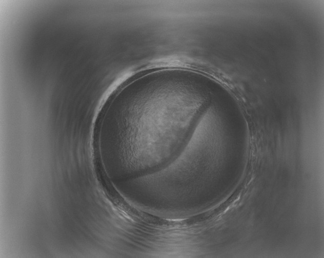 X0000058130200200510072014