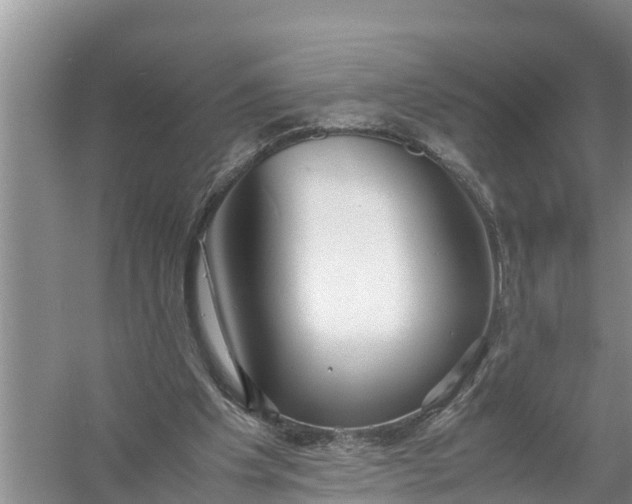 X0000058130201200510072014