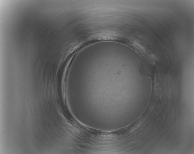 X0000058130202200510072014