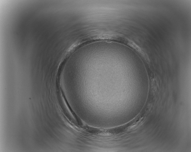 X0000058130203200510072014