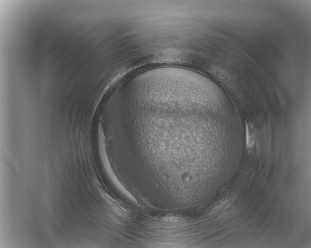 X0000058130204200510072014