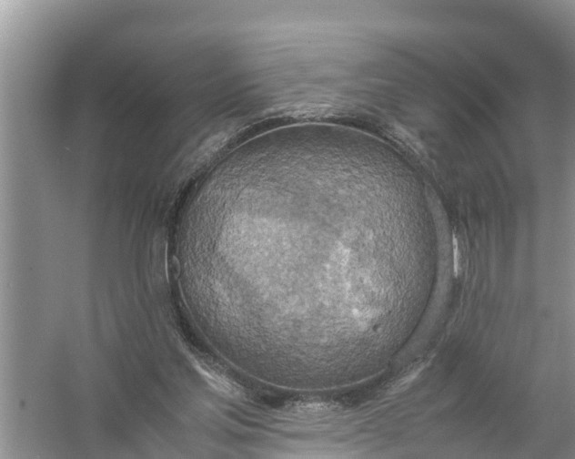 X0000058130205200510072014