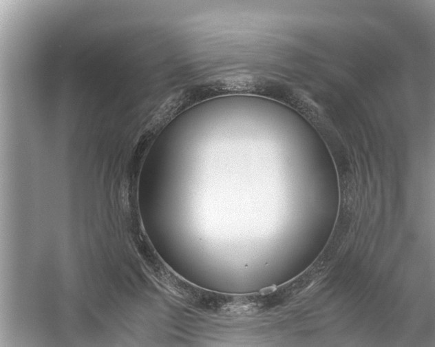 X0000058130213200510072014