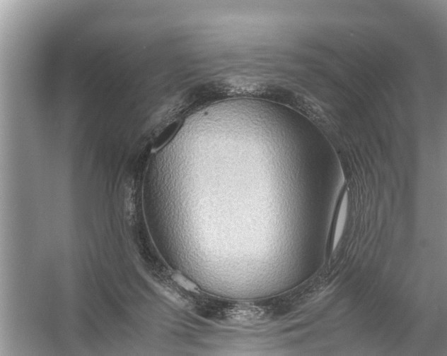 X0000058130215200510072014