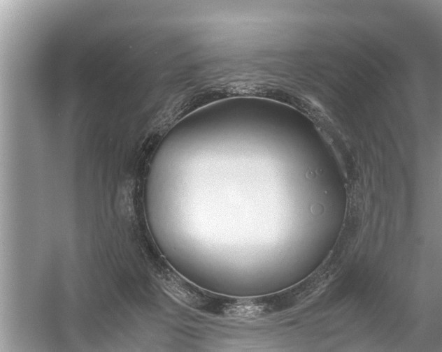 X0000058130217200510072014