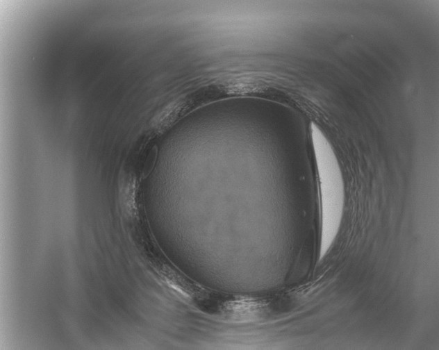 X0000058130219200510072014