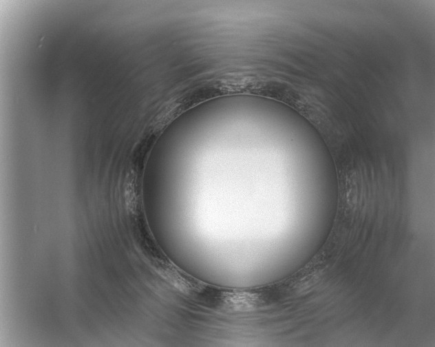 X0000058130226200510072013