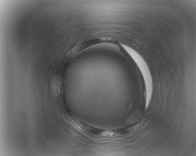 X0000058130227200510072013