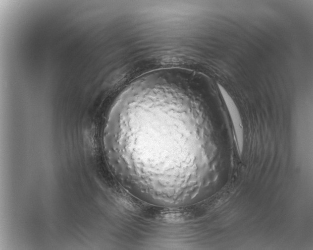 X0000058130228200510072013