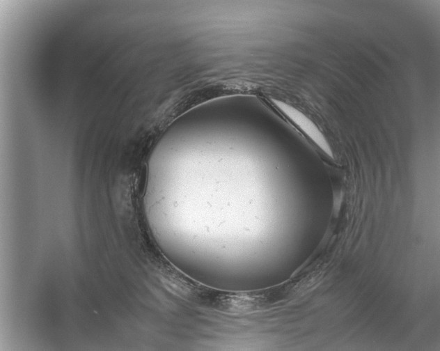 X0000058130229200510072013