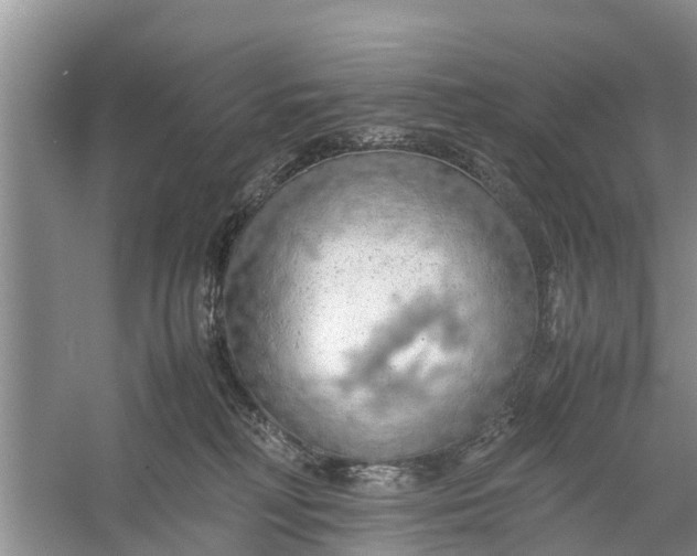 X0000058130230200510072013